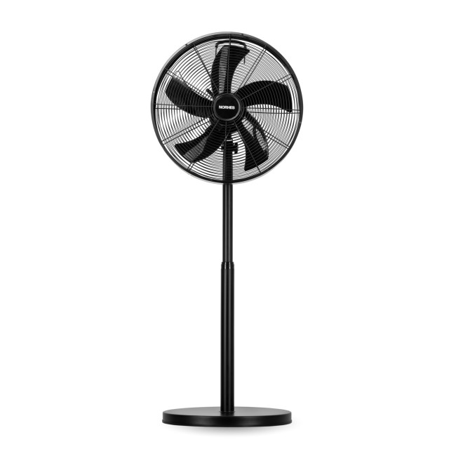 Ventilador de Pie Tenex Negro Cuerpo Acero 5 Aspas de Acero Ø46cm 3 Velocidades Oscilación 85º Motor 50W, principal Ventilador de Pie Tenex Negro Cuerpo Acero 5 Aspas de Acero Ø46cm 3 Velocidades Oscilación 85º Motor 50W, principal
