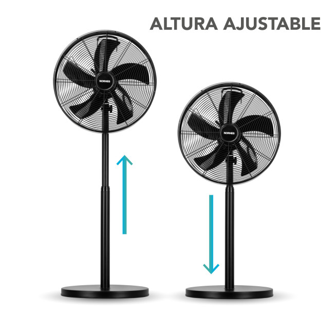 Ventilador de Pie Tenex Negro Cuerpo Acero 5 Aspas de Acero Ø46cm 3 Velocidades Oscilación 85º Motor 50W, altura ajustable Ventilador de Pie Tenex Negro Cuerpo Acero 5 Aspas de Acero Ø46cm 3 Velocidades Oscilación 85º Motor 50W, altura ajustable